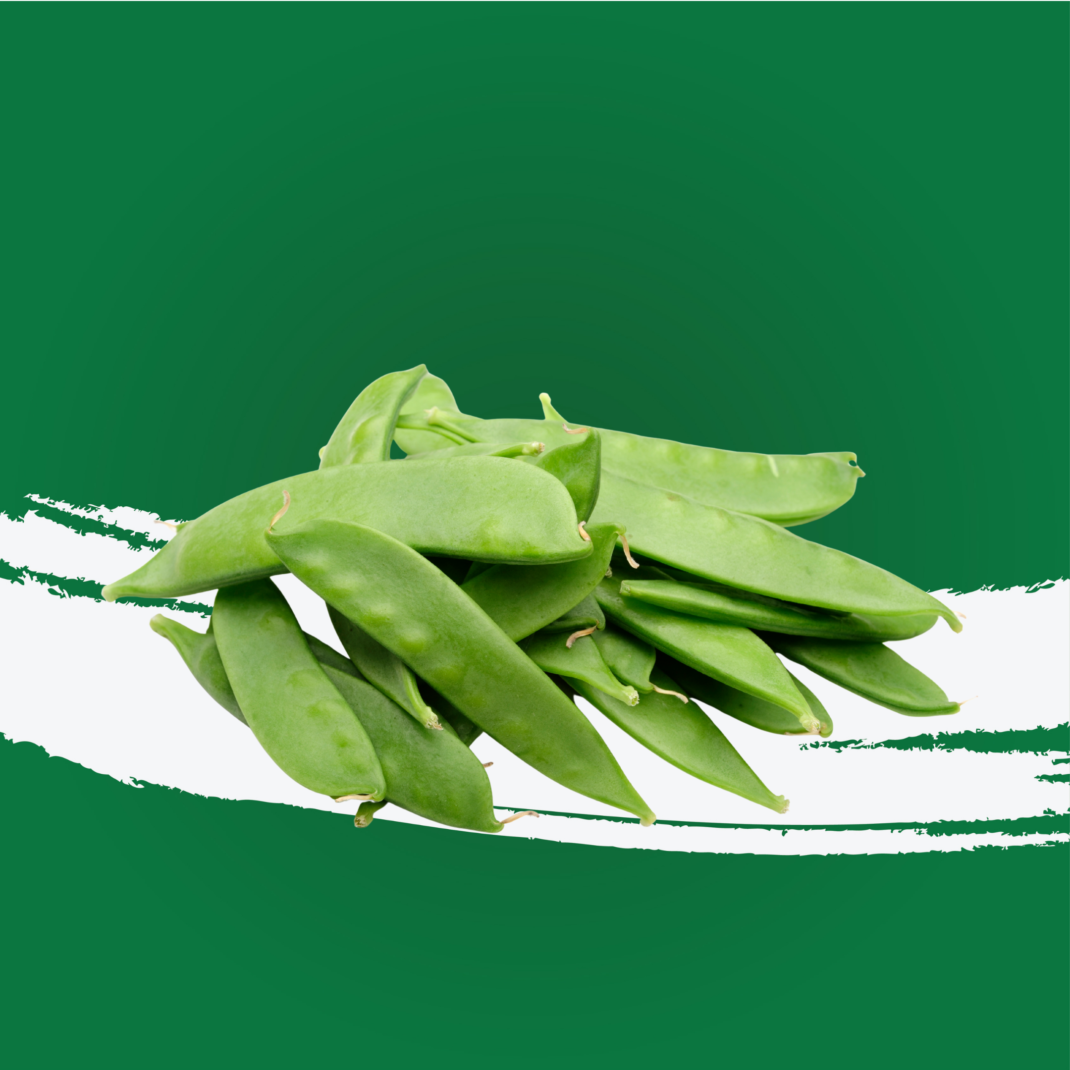 Snow Peas Kenya