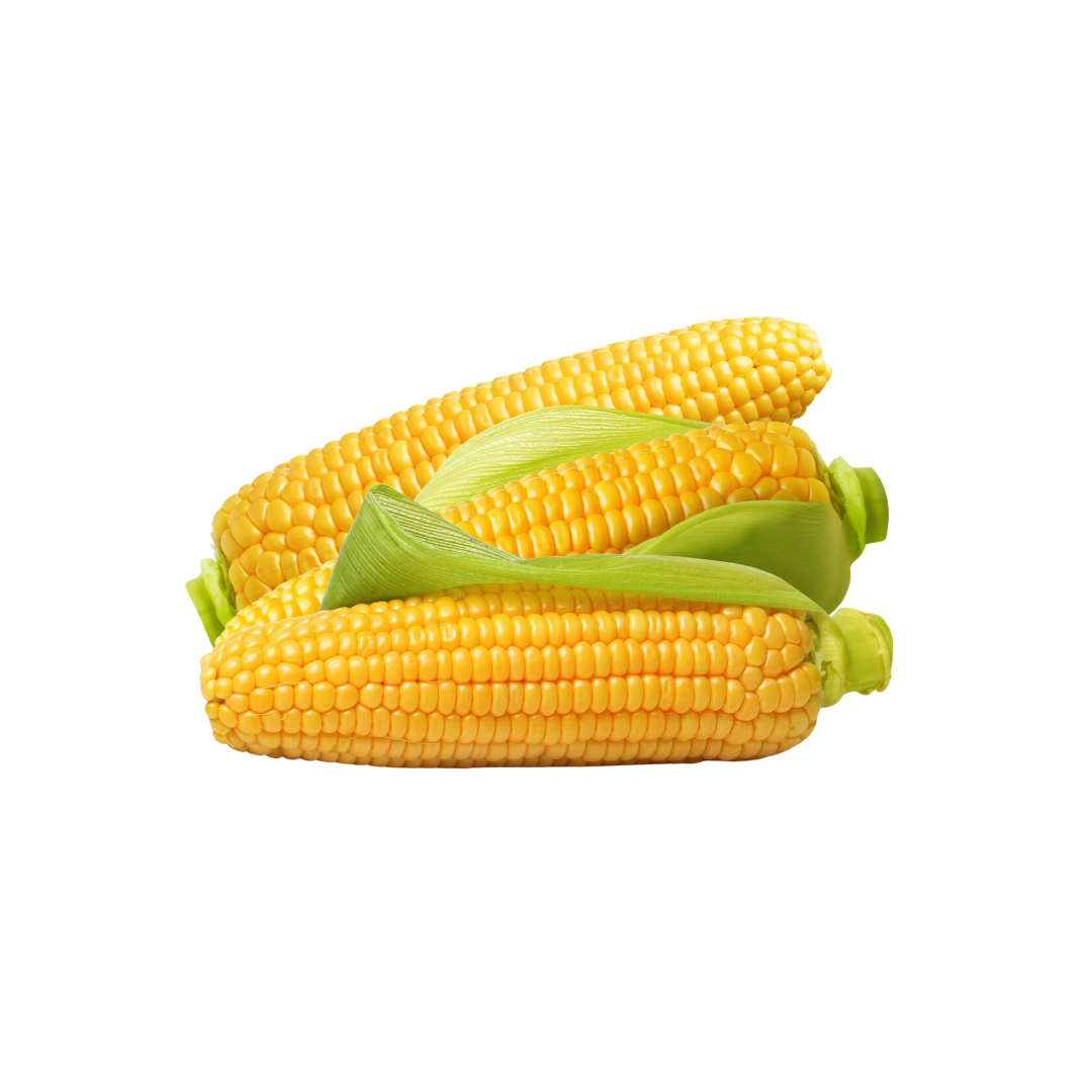 Sweet Corn UAE