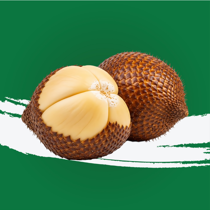 Salak Fruit (Snake fruit)