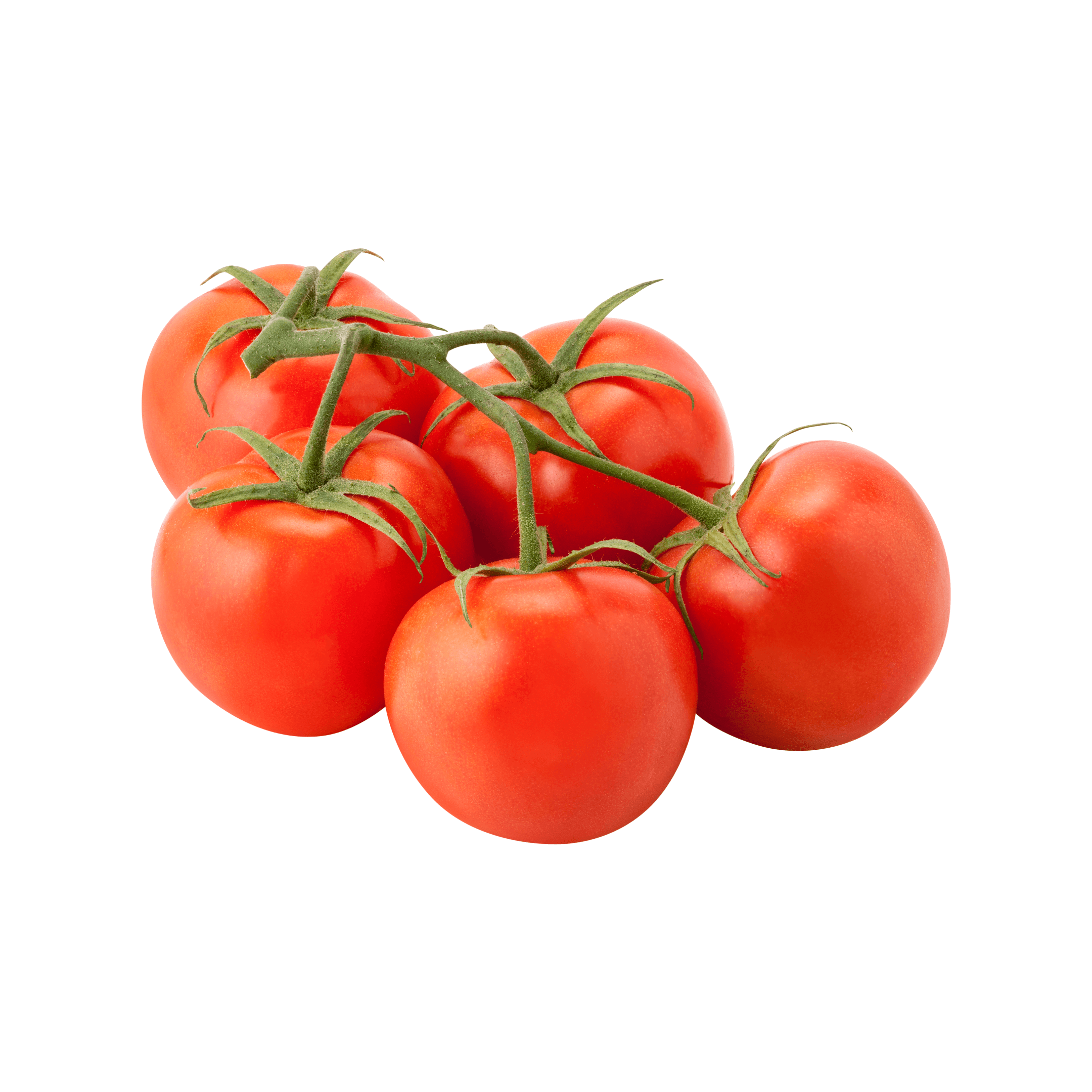 Fresh Tomato Bunch UAE featuring juicy tomatoes perfect for cooking and salads.