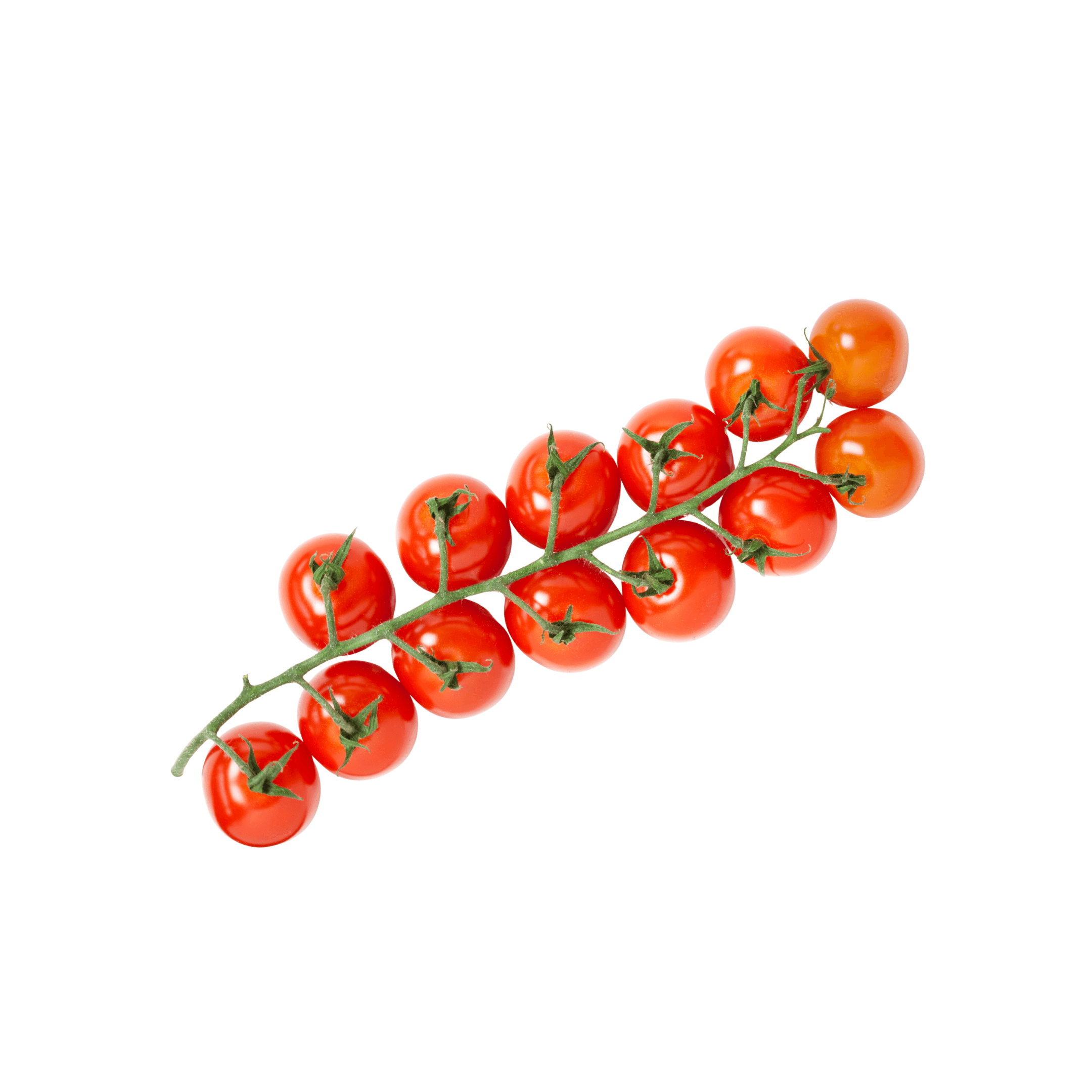 Fresh Tomato Cherry Bunch Uae with sweet and juicy tomatoes on the vine.