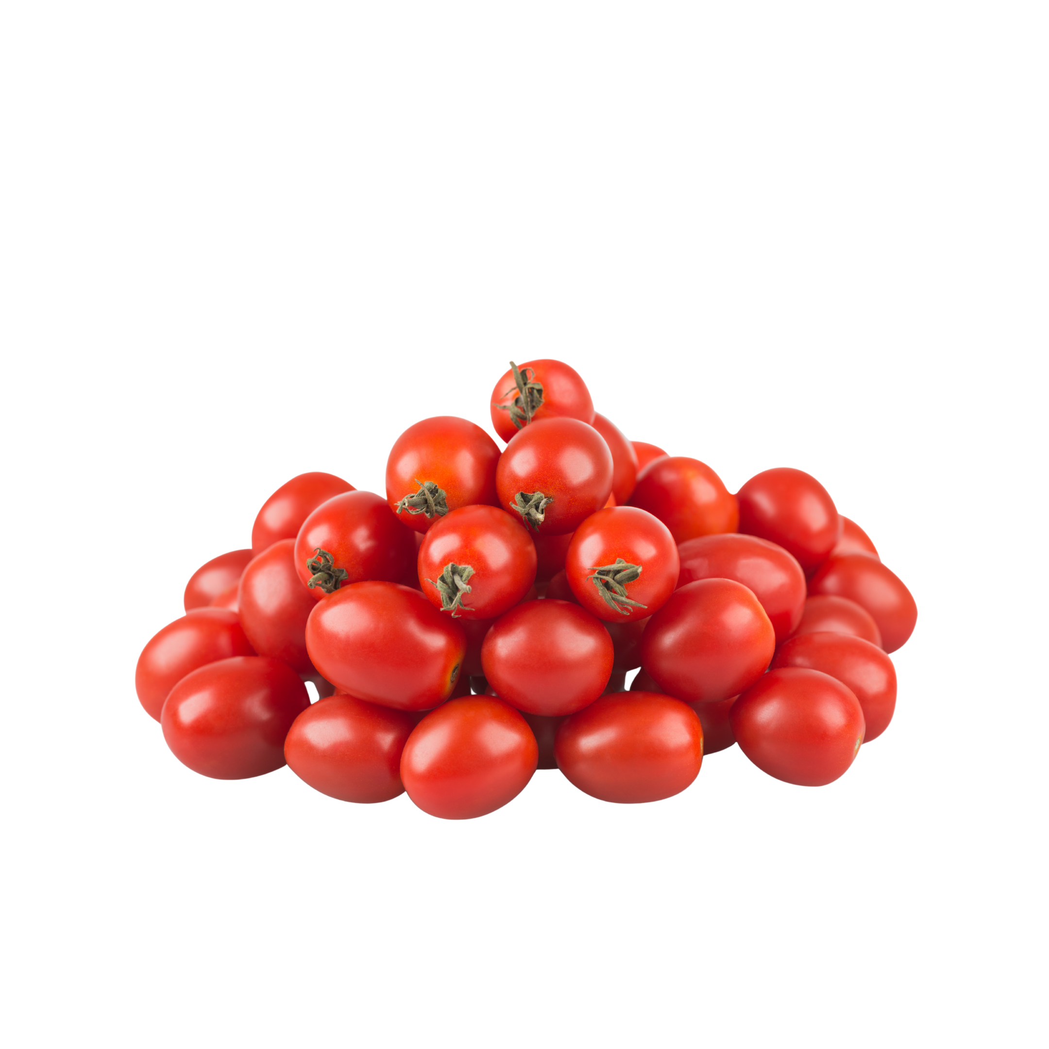 Tomato Cherry Red Holland