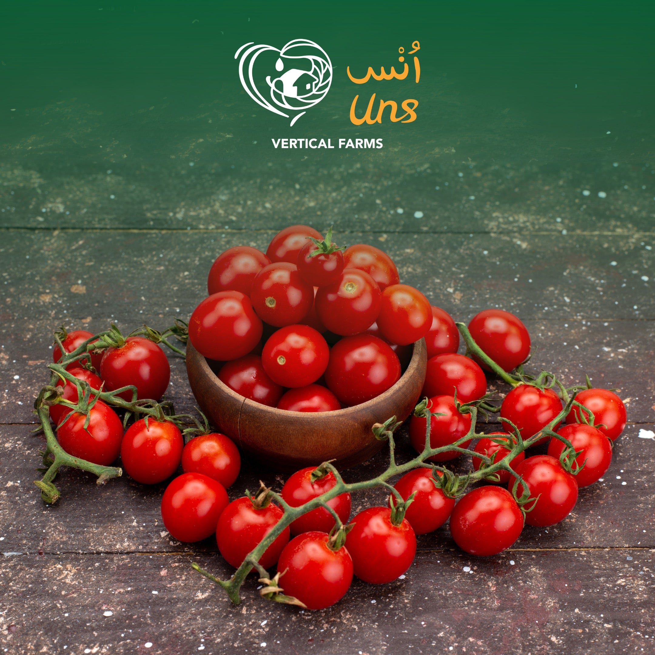 Tomato Cherry Red UAE