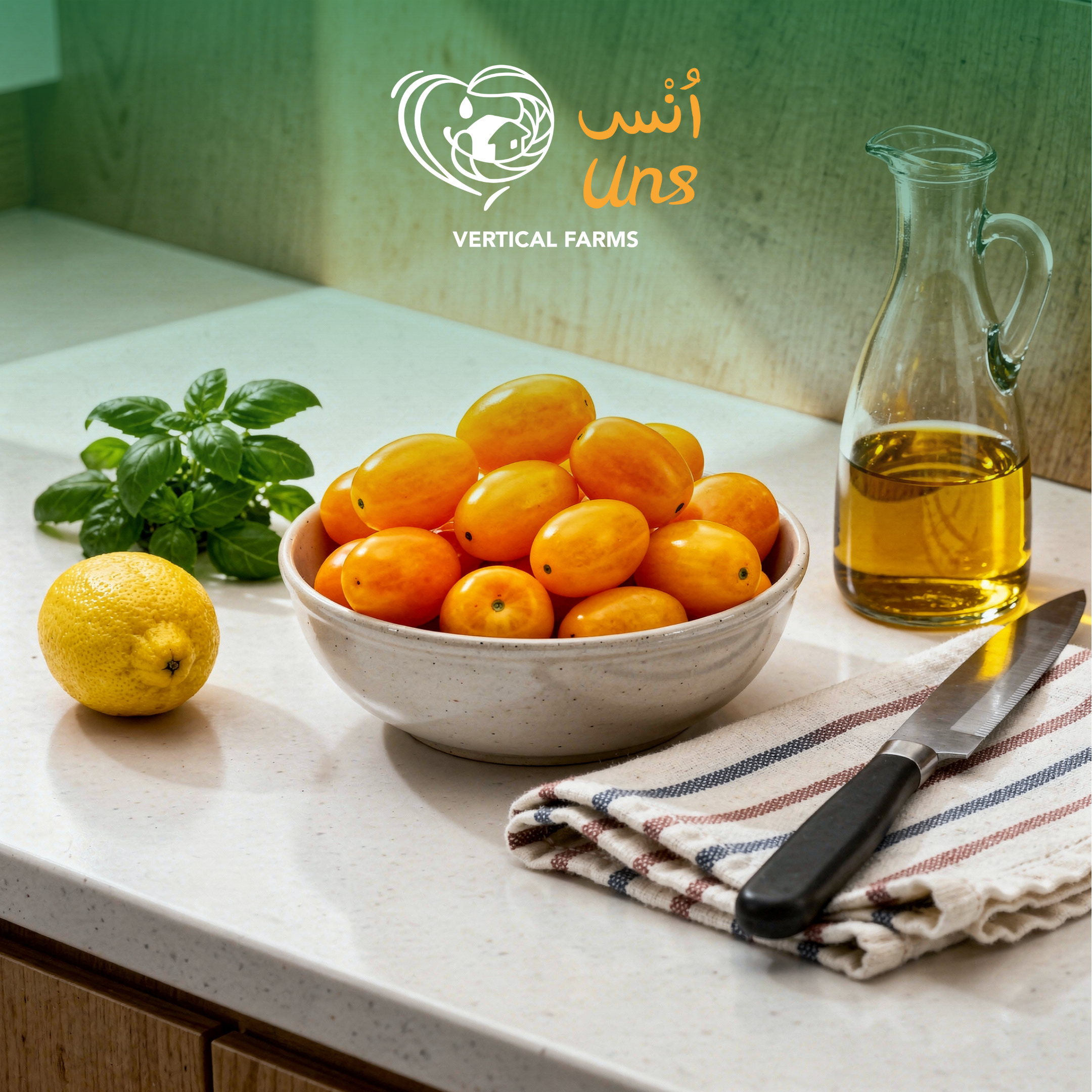 Tomato Cherry Yellow Holland