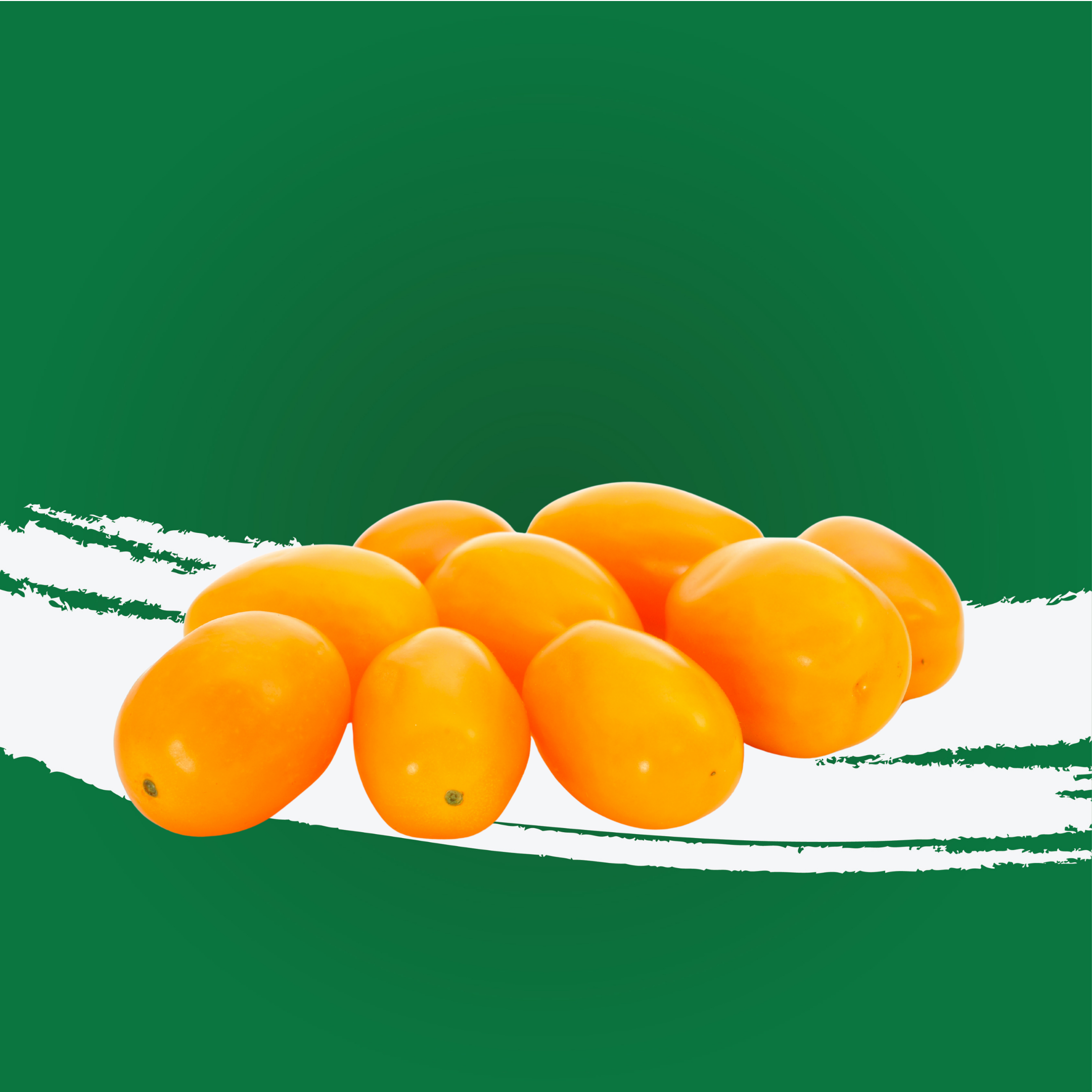 Tomato Cherry Yellow Holland