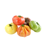 Tomato Heirloom Holland