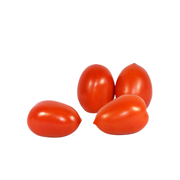 Tomato Plum Roma Holland