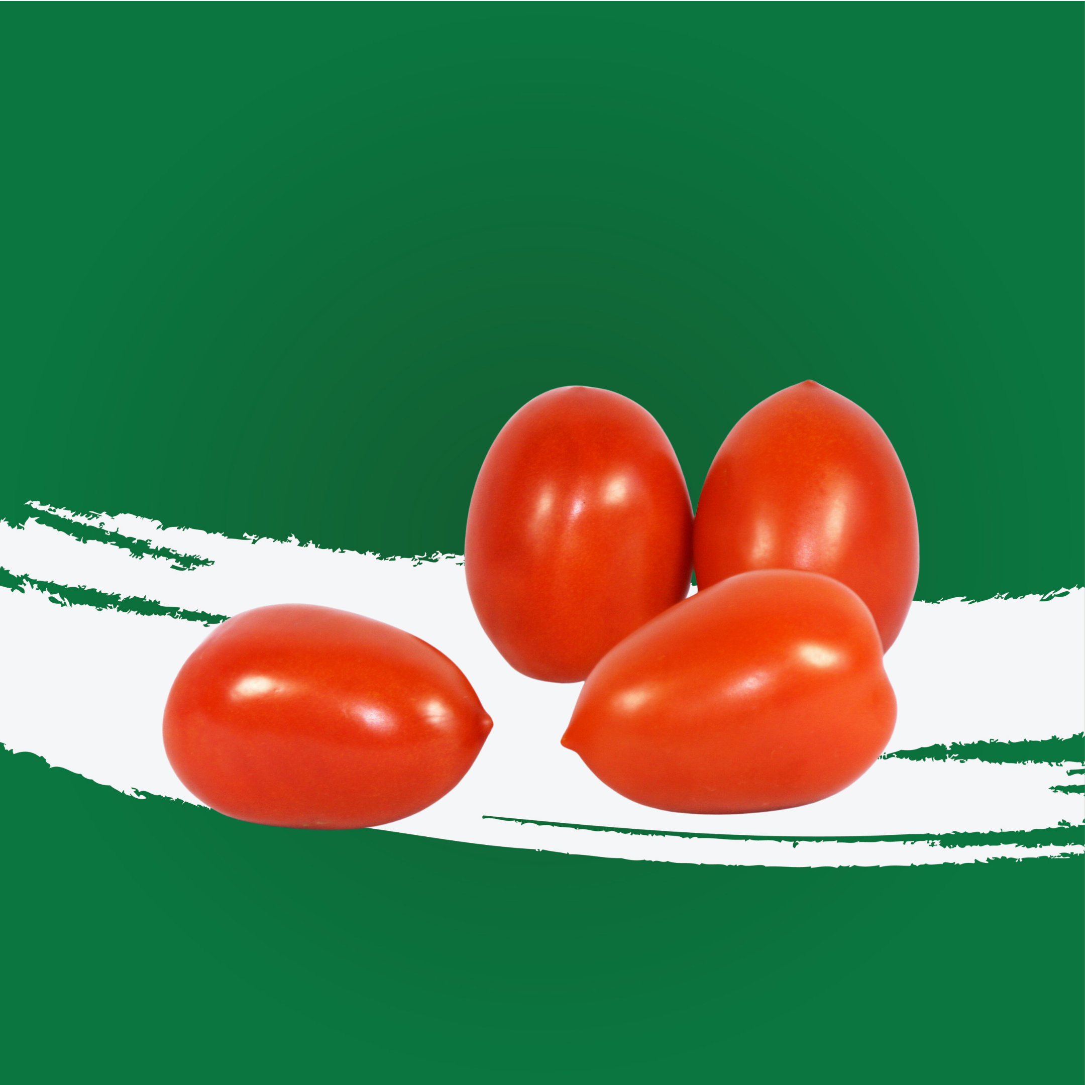 Tomato Plum Roma Uae