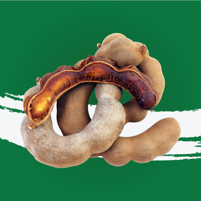 Tamarind Pods India