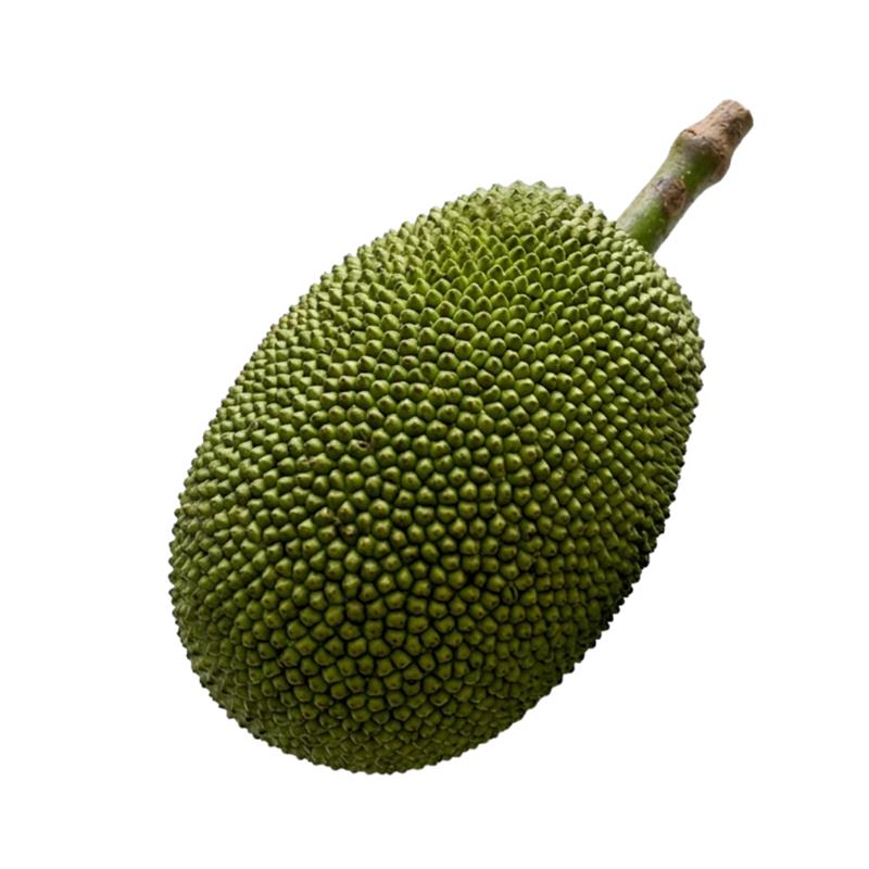 Tender Jackfruit