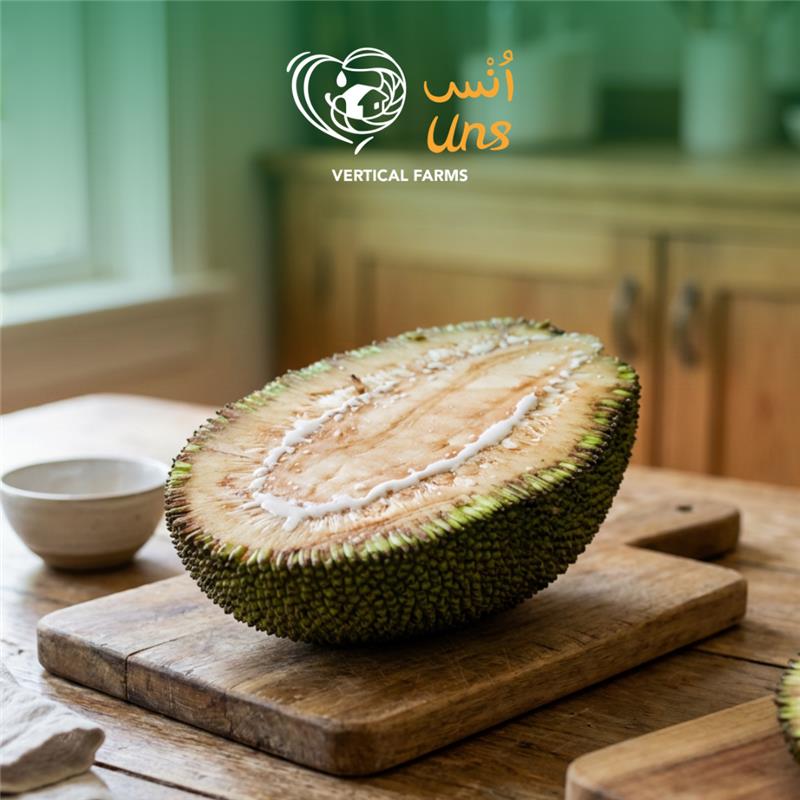 Tender Jackfruit