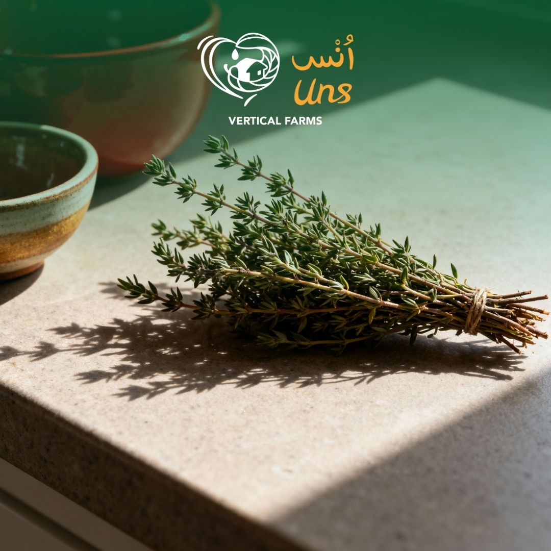 Thyme UAE