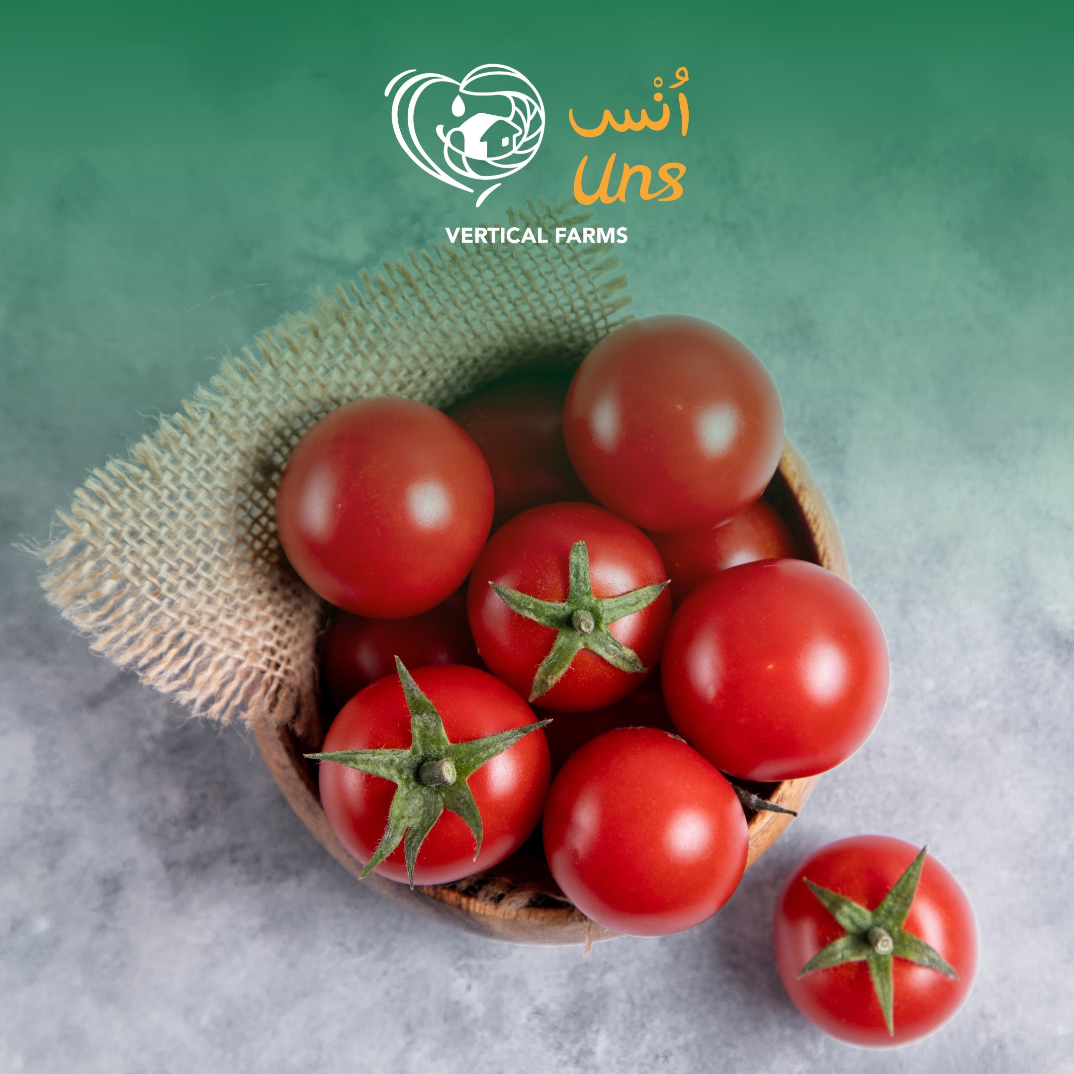 Tomato UAE