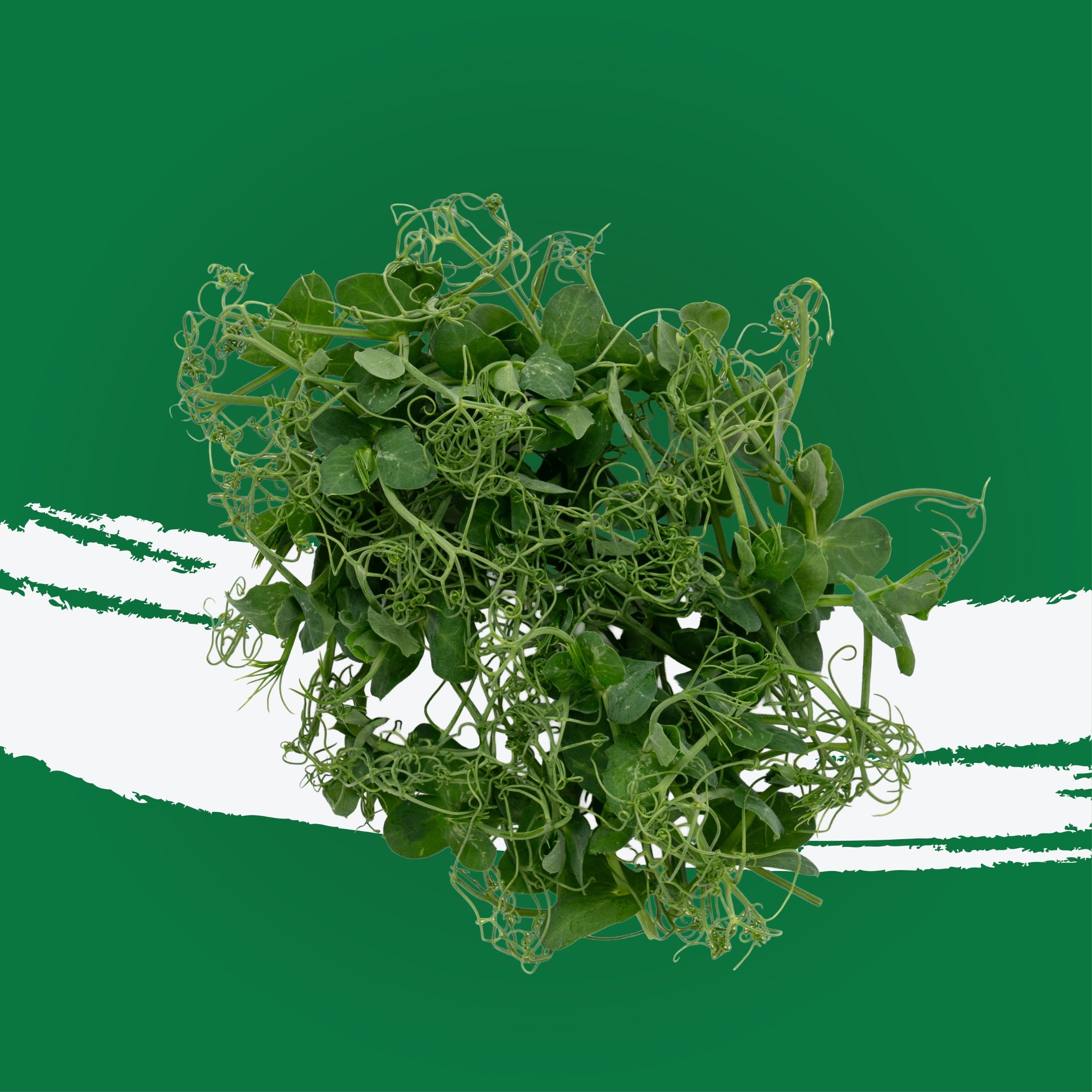 UNS Afilla Cress Microgreen 16 Punnet Carton