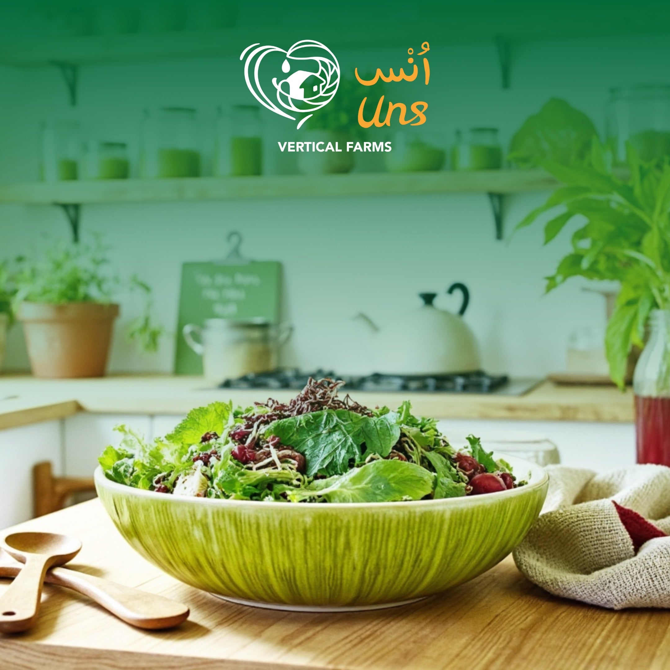 UNS Afilla Cress Microgreen 16 Punnet Carton