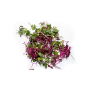 Uns Amaranth Broccoli Mix 15G Clear Pet Box