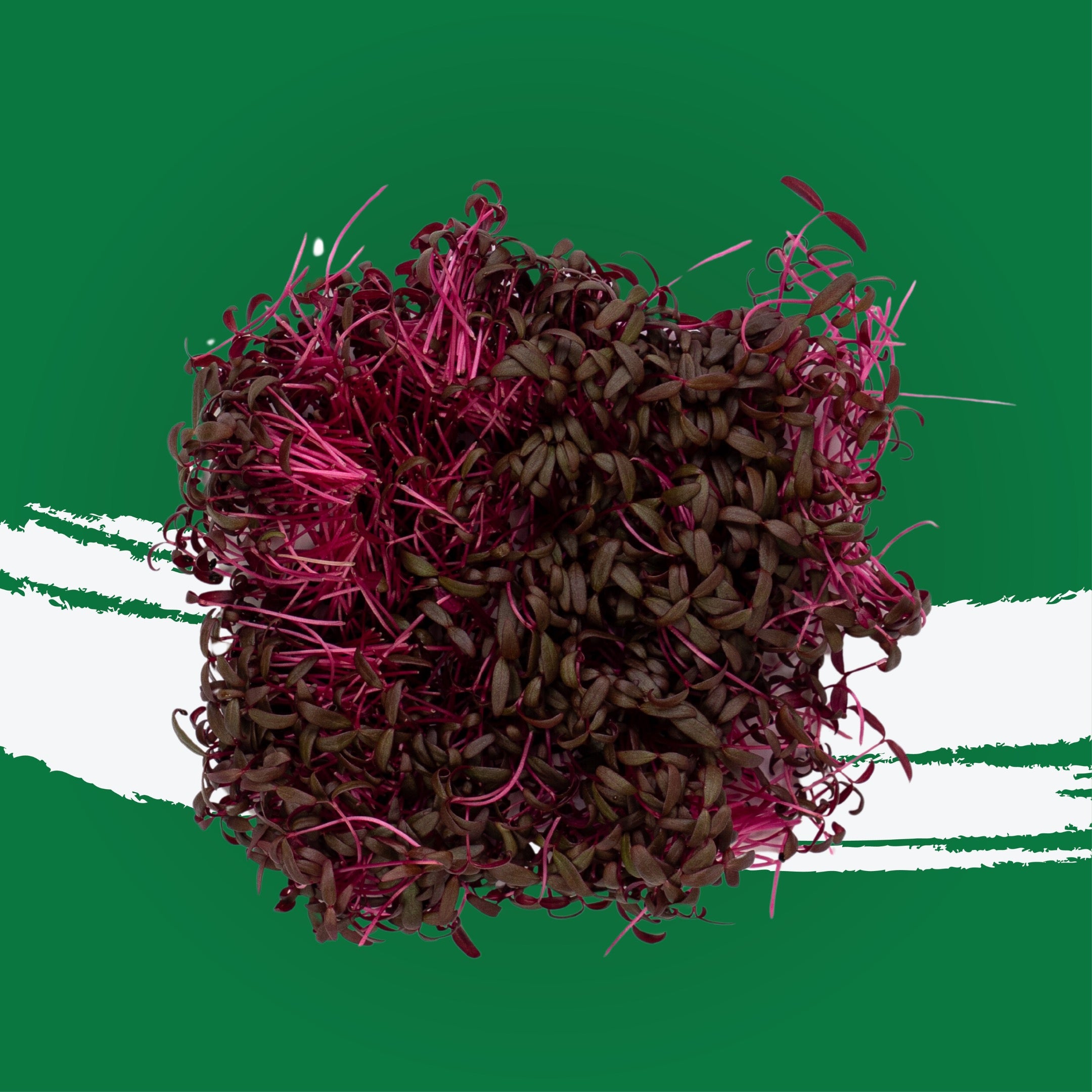UNS Amaranth Microgreen Cress 16 Punnet Carton