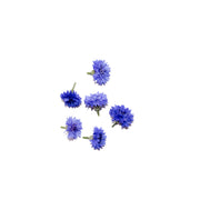 Uns Assorted Corn Flower 6Pcs Clear Pet Box