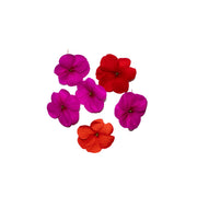 Uns Balsamia 8Pcs Clear Pet Box