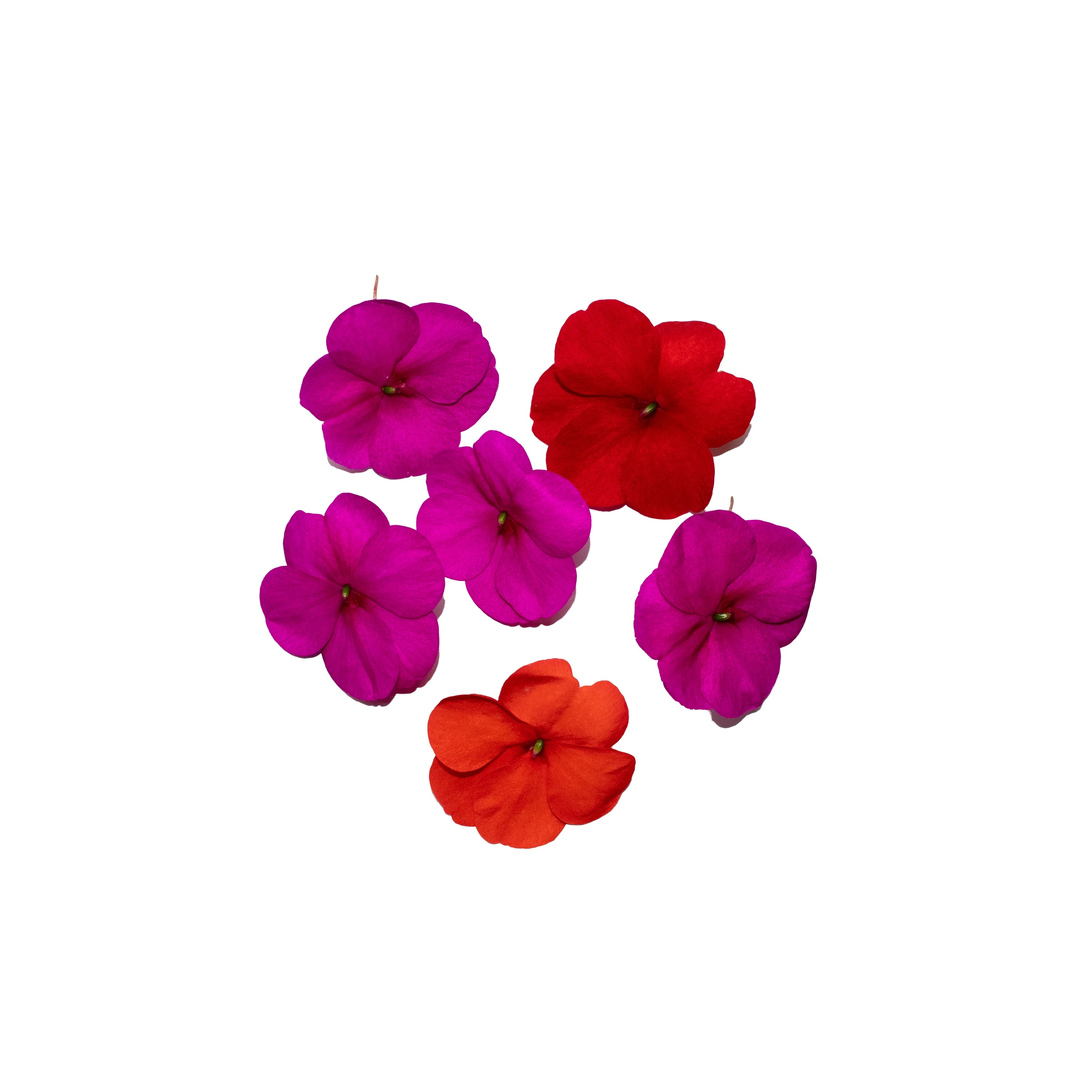 Uns Balsamia 8Pcs Clear Pet Box