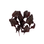 Uns Bulls Blood Beetroot 20G Clear Pet Box