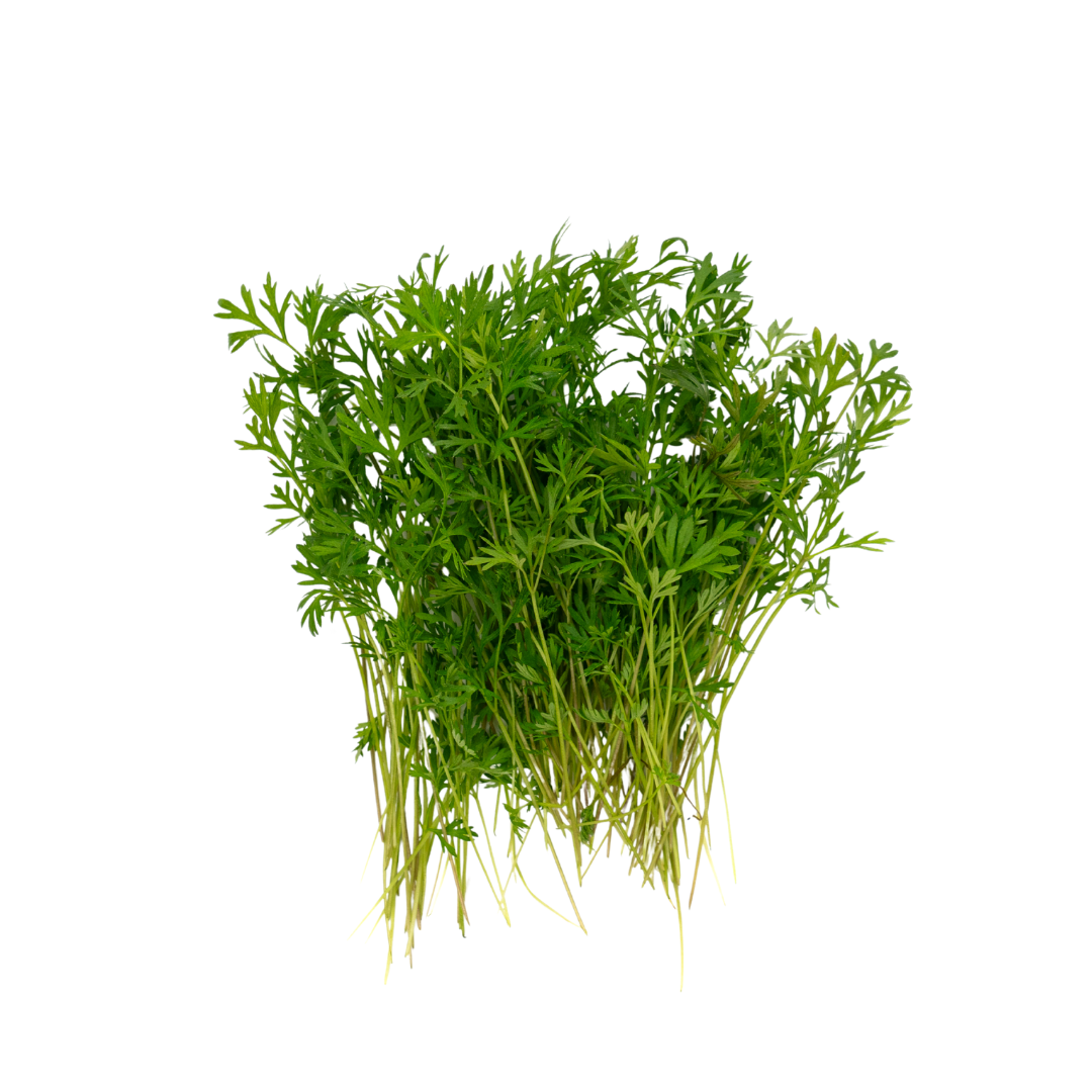 UNS Carrots Cress 15g Clear Pet Box