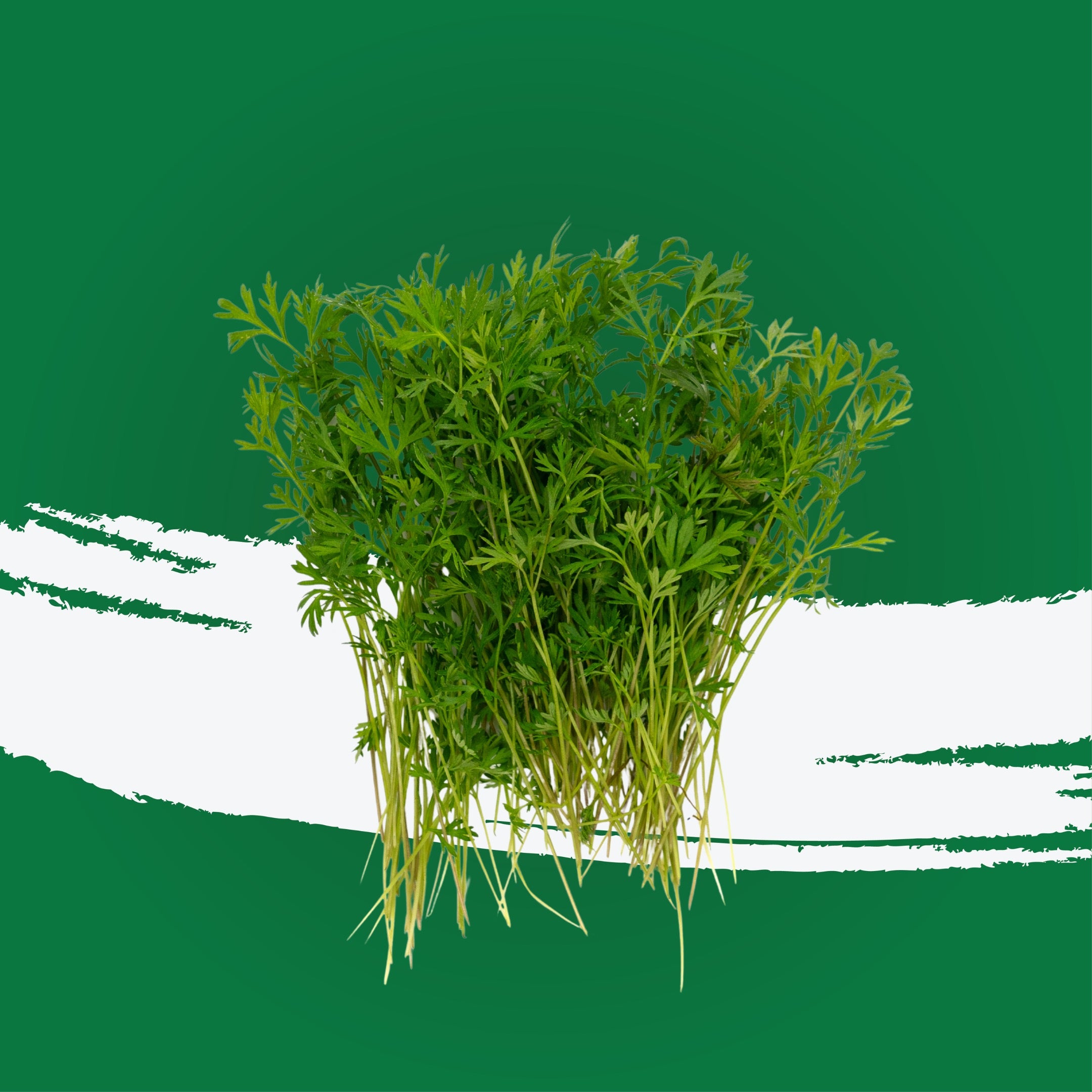UNS Carrots Cress 15g Clear Pet Box
