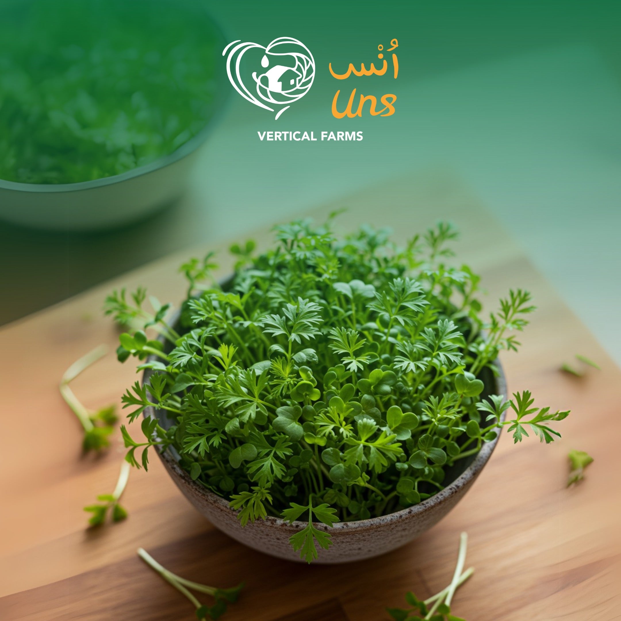 UNS Carrots Cress 15g Clear Pet Box