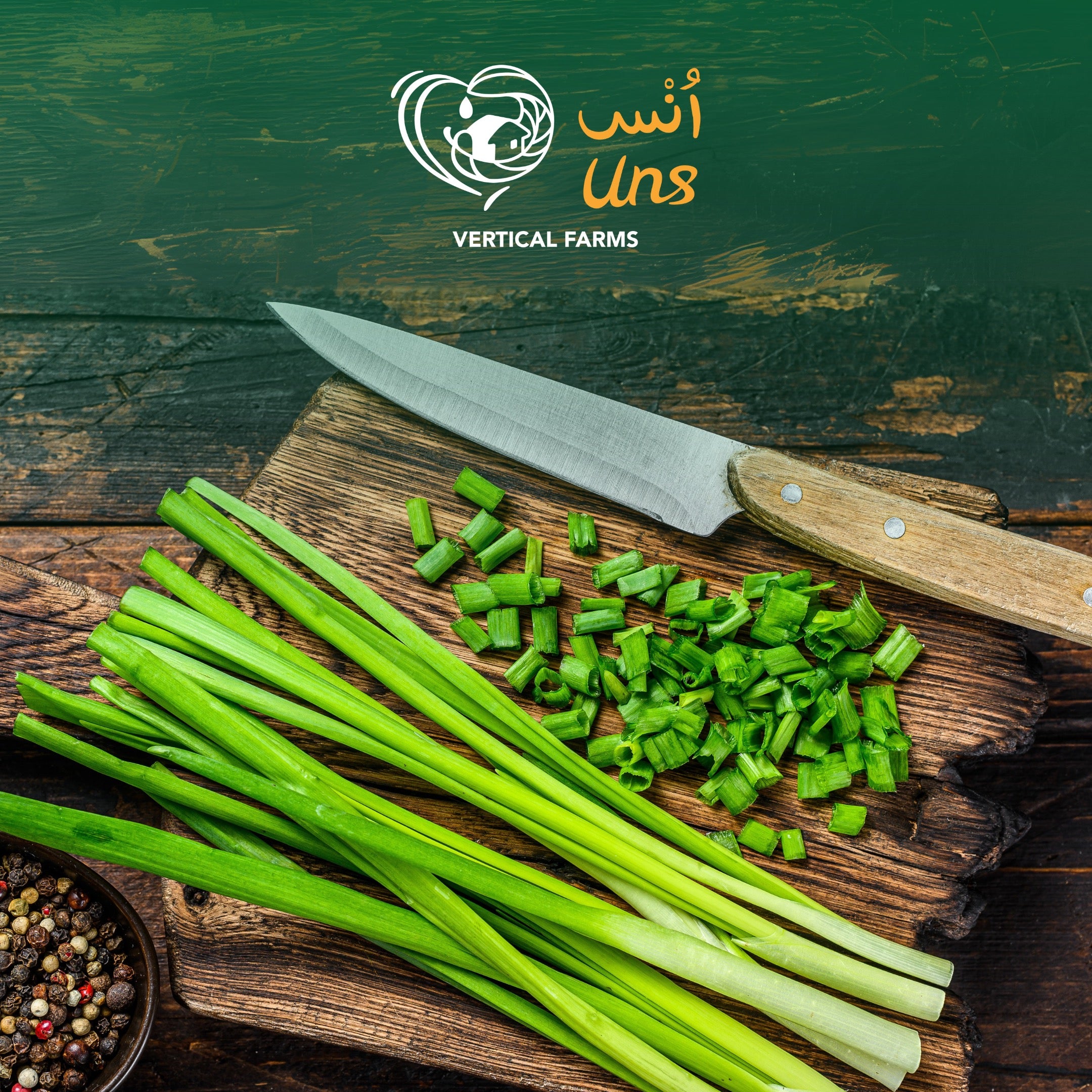 UNS Chives 50g Kraft Box