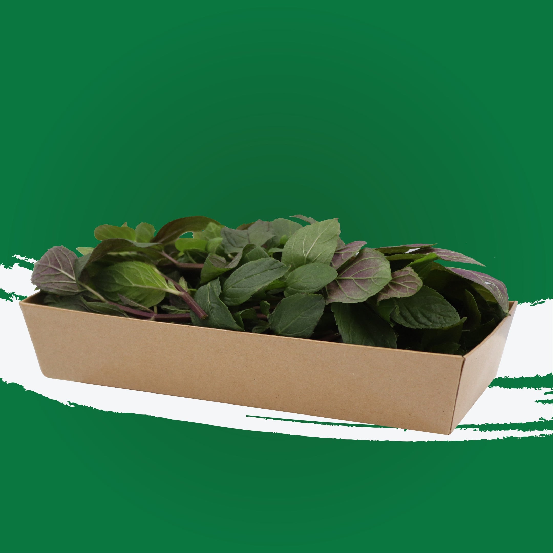 UNS Chocolate Mint 50g Kraft Box
