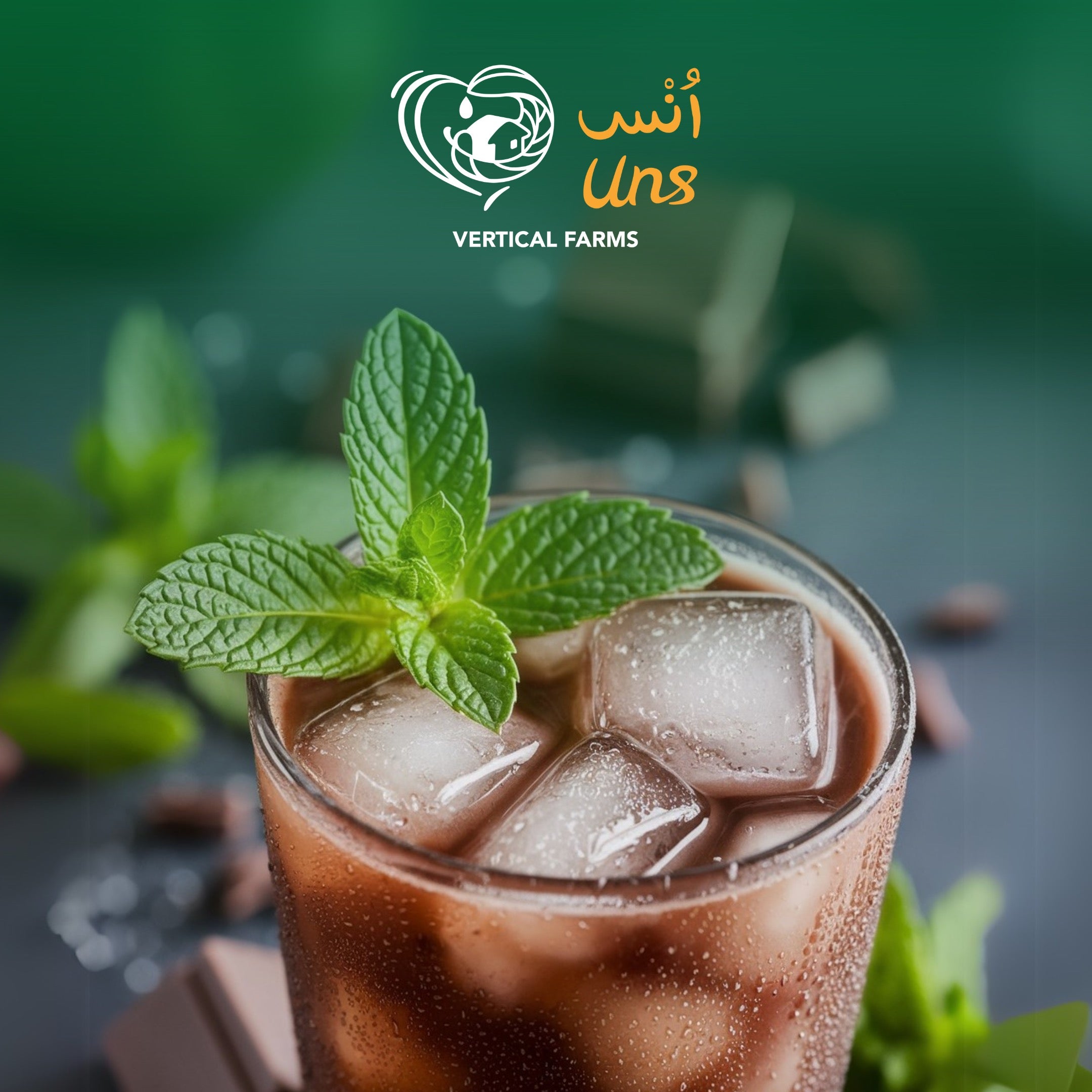 UNS Chocolate Mint 50g Kraft Box