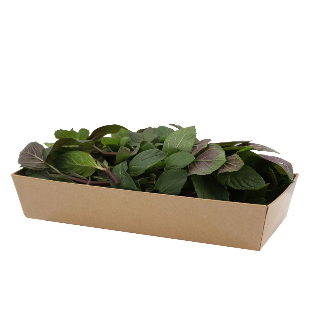 UNS Chocolate Mint 50g Kraft Box