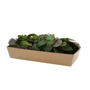 Uns Chocolate Mint 20G