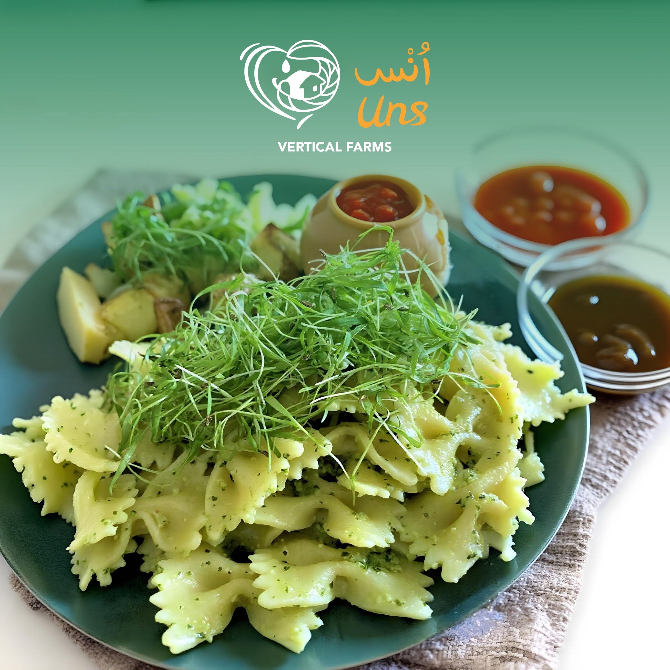 UNS Kale Microgren Cress 16 Punnet Carton