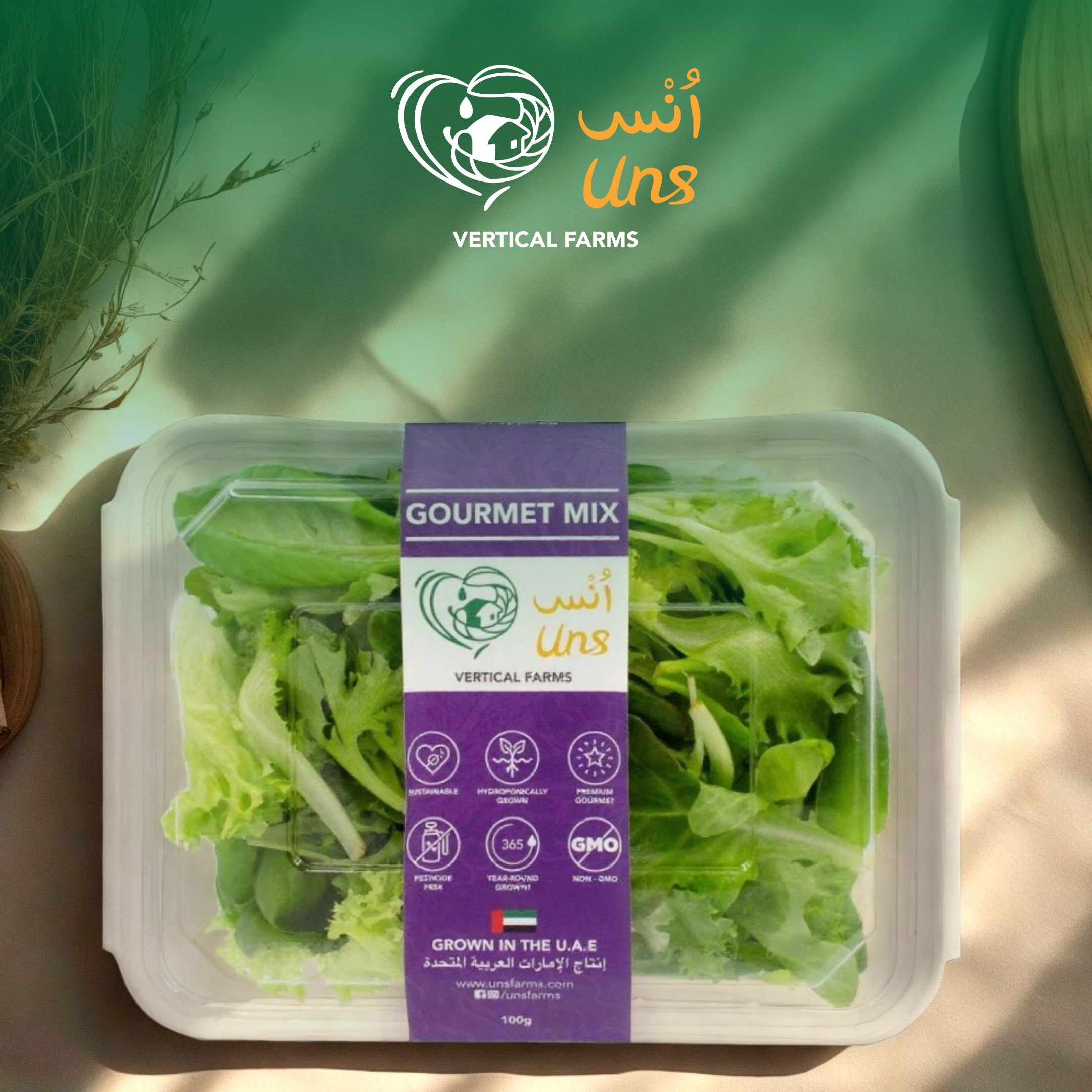 UNS Gourmet Mix 100g Clear Pet Box