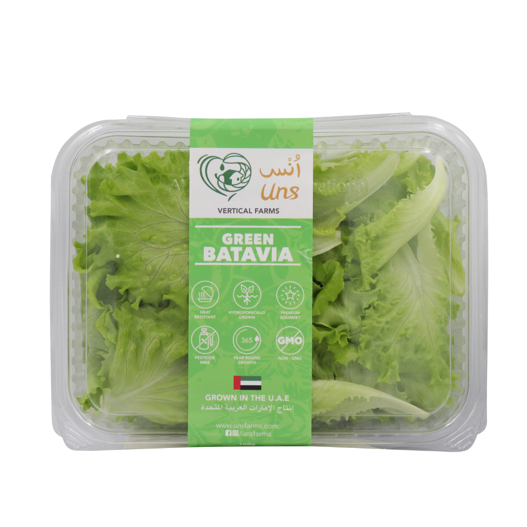 UNS Green Batavia Lettuce 250g Clear Pet Bag