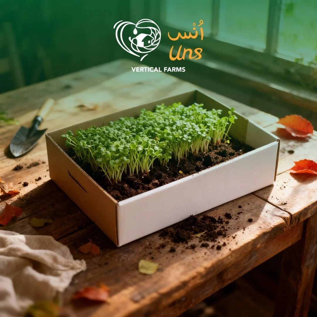 Peppery mustard cress microgreens for salads