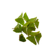 Uns Green Oxalis Leaves