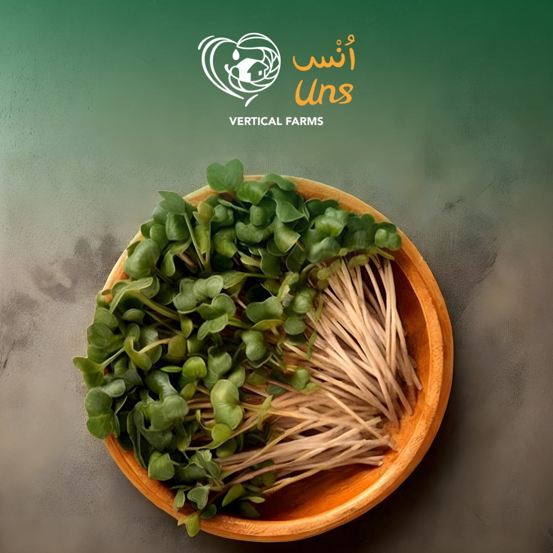 UNS Green Radish 40g Clear Pet Box