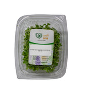 Uns Green Wasabi Mustard 20G Clear Pet Box
