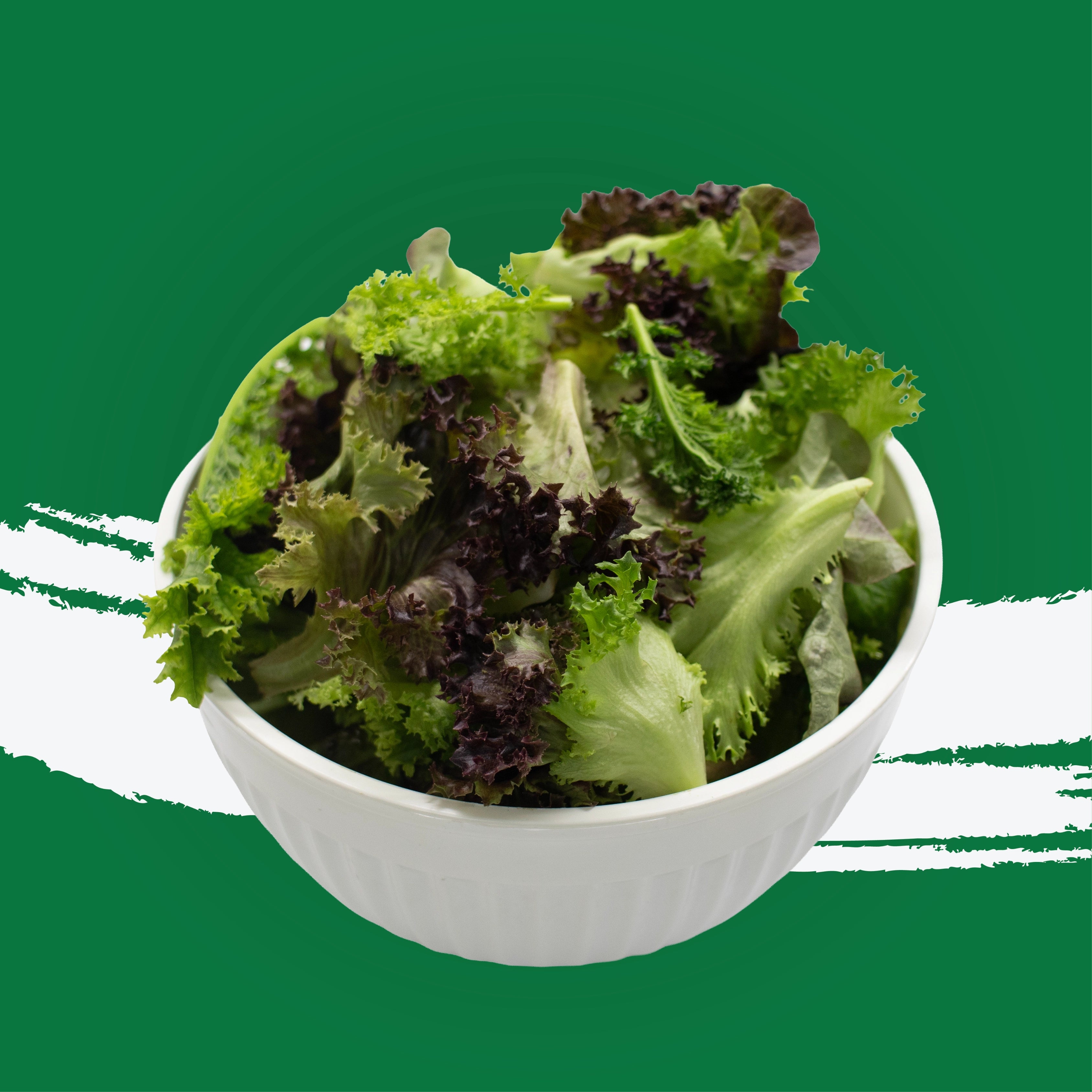 Uns Healthy Mix 1Kg Clear Pet Bag.