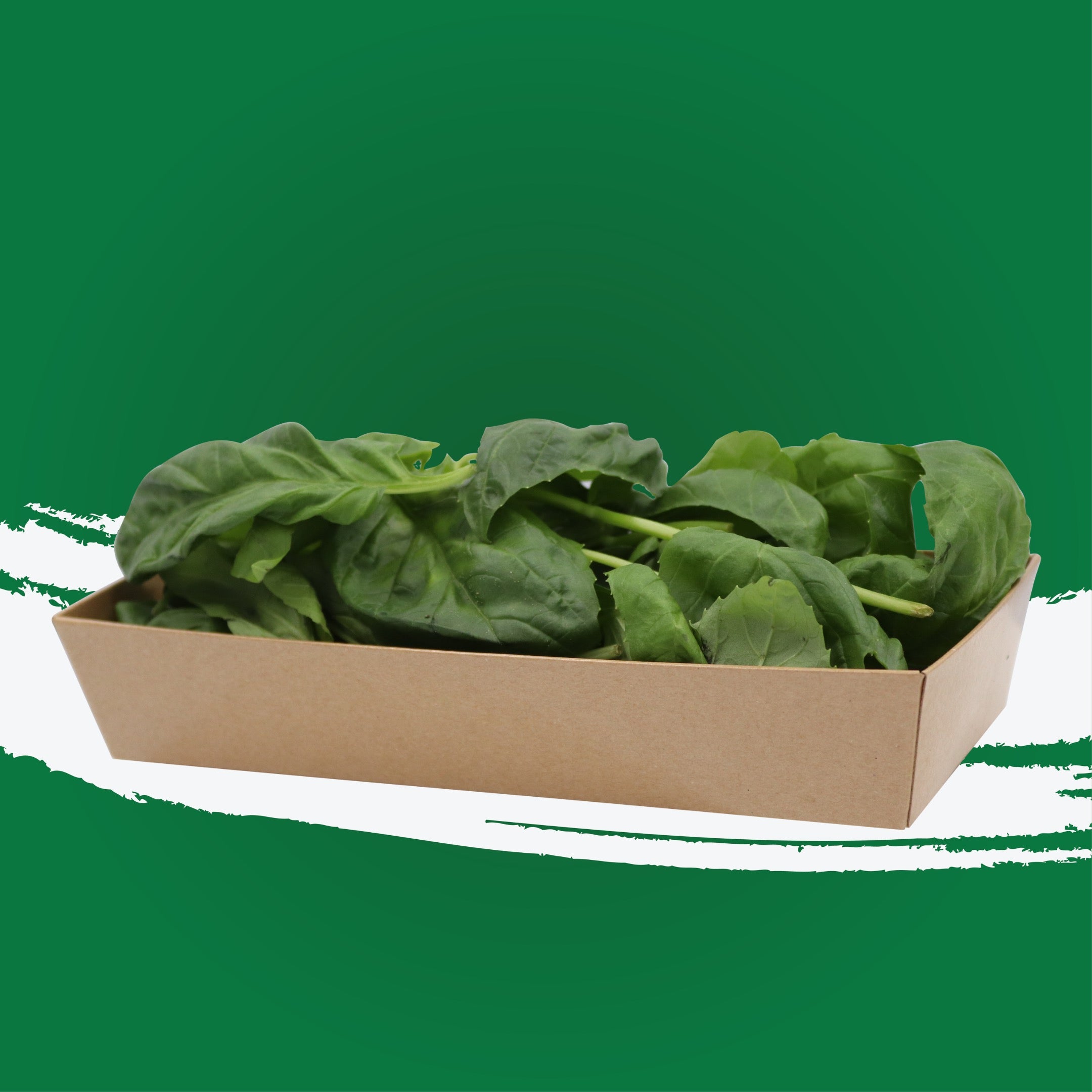 UNS Italian Basil 50g Kraft Box
