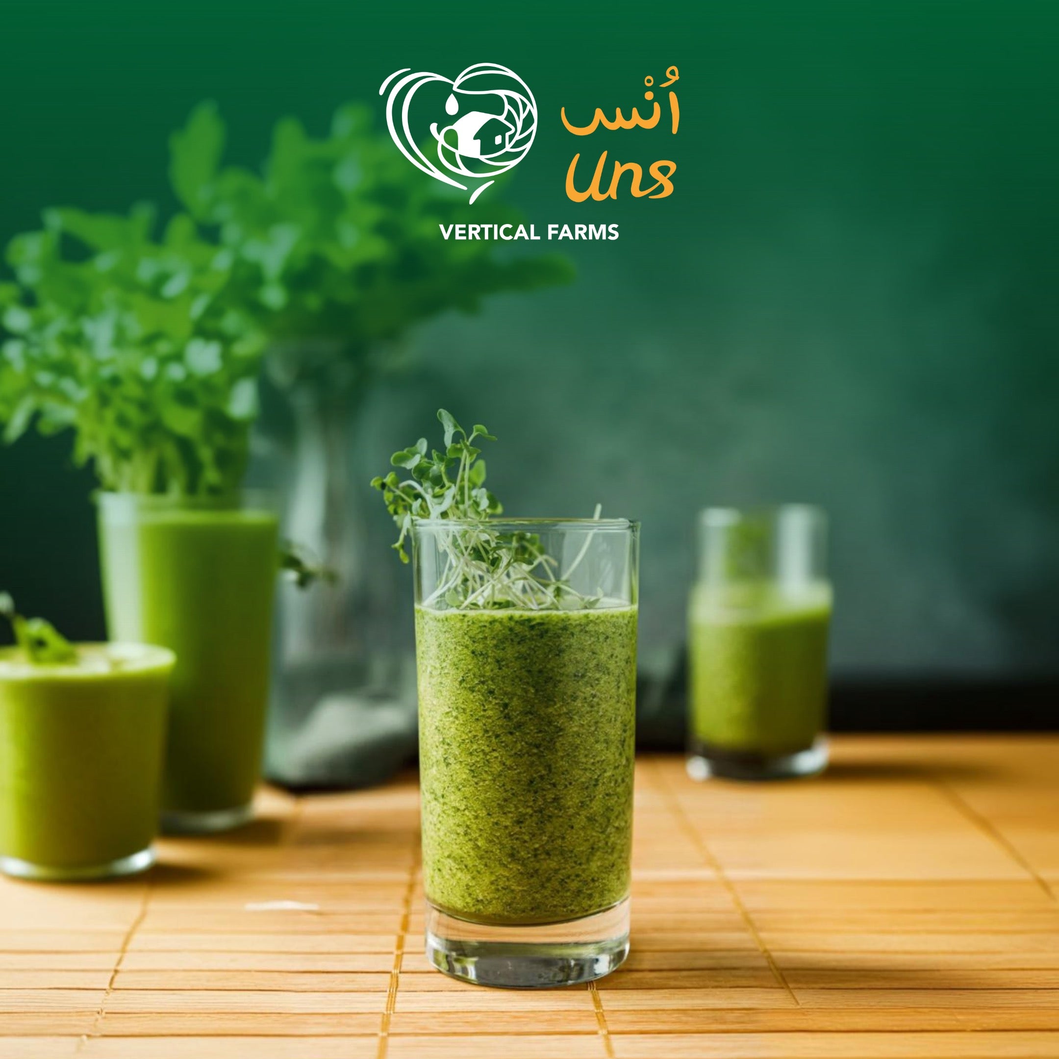 UNS Kale Cress 30g Clear Pet Box