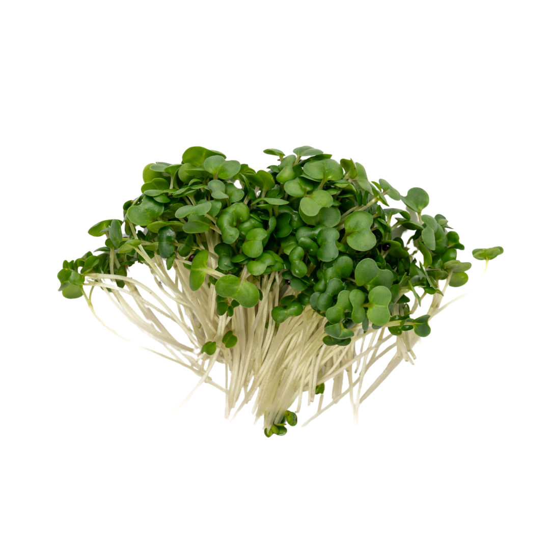 UNS Kale Microgren Cress 16 Punnet Carton