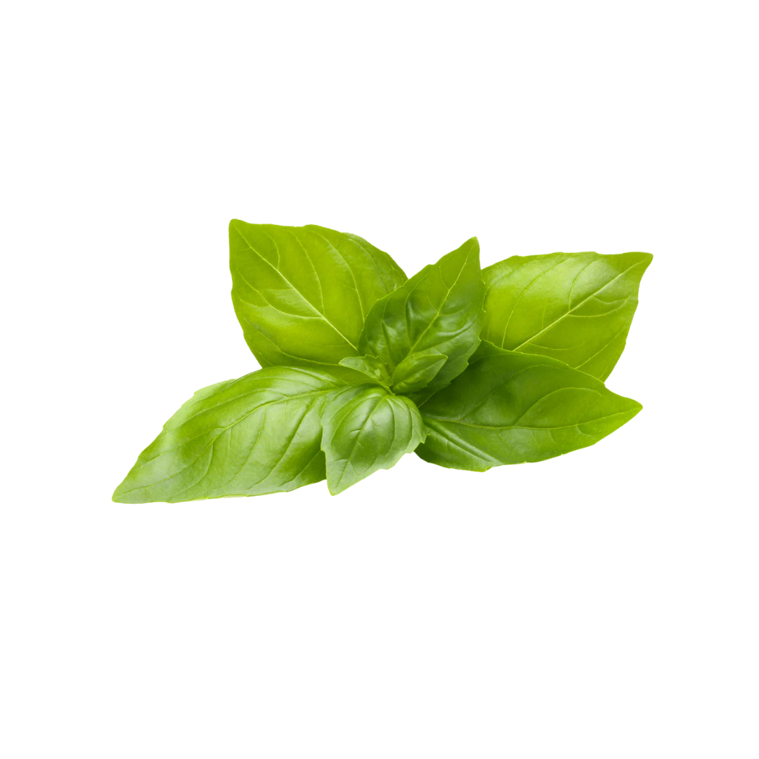 UNS Lemon Balm 50g Kraft Box