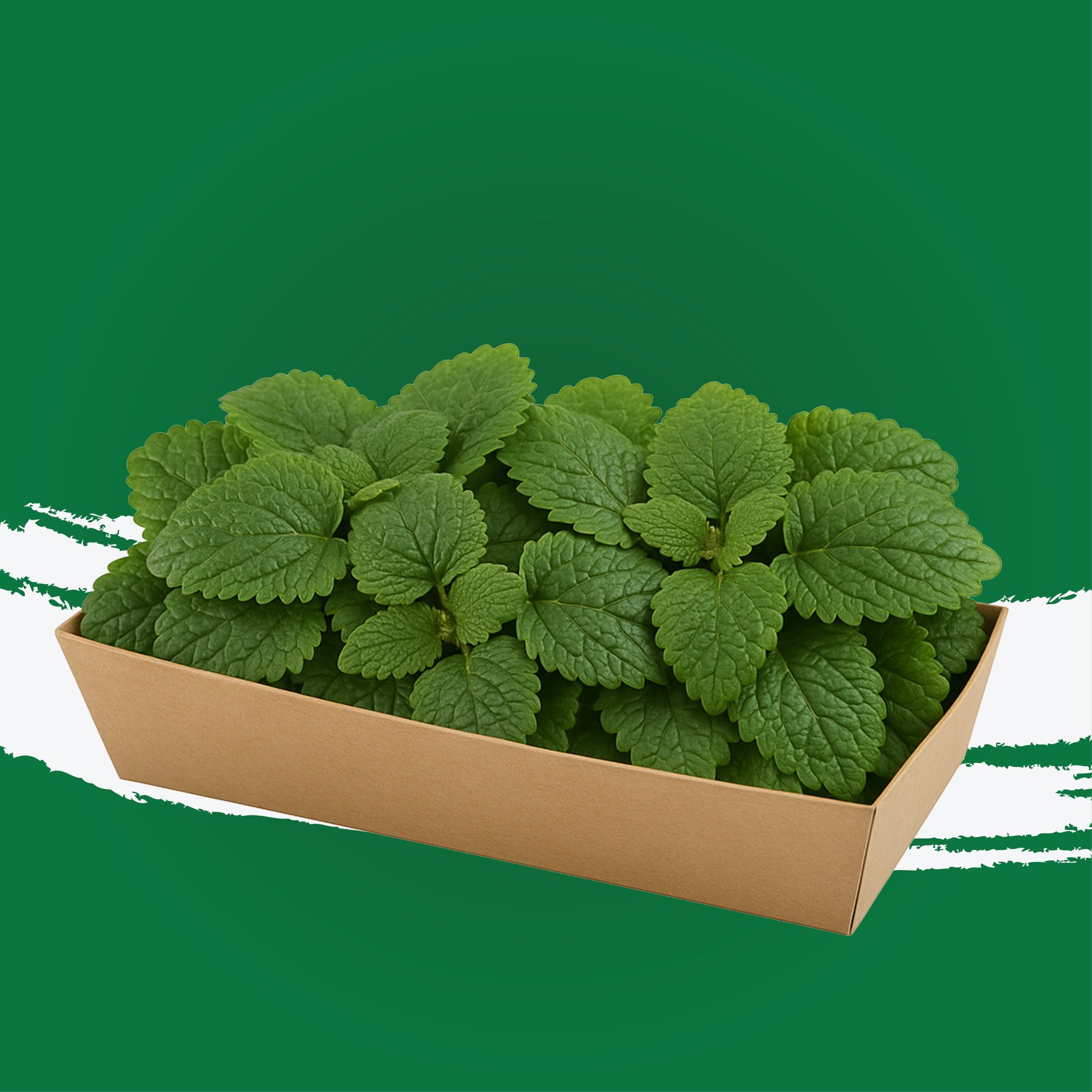 UNS Lemon Balm 50g Kraft Box