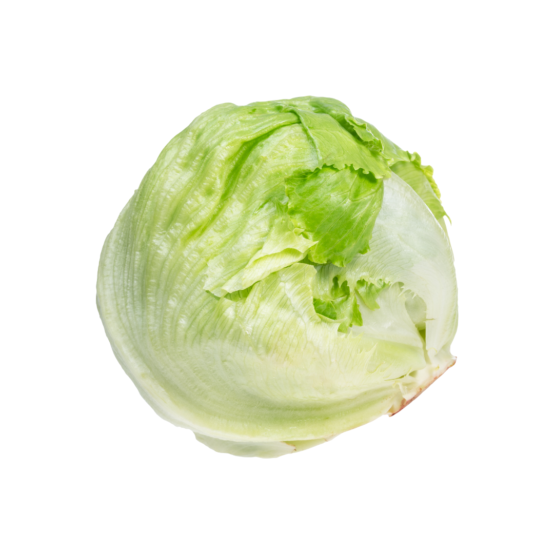 Lettuce Iceberg UAE