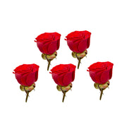 Uns Mini Roses 12Pcs Clear Pet Box