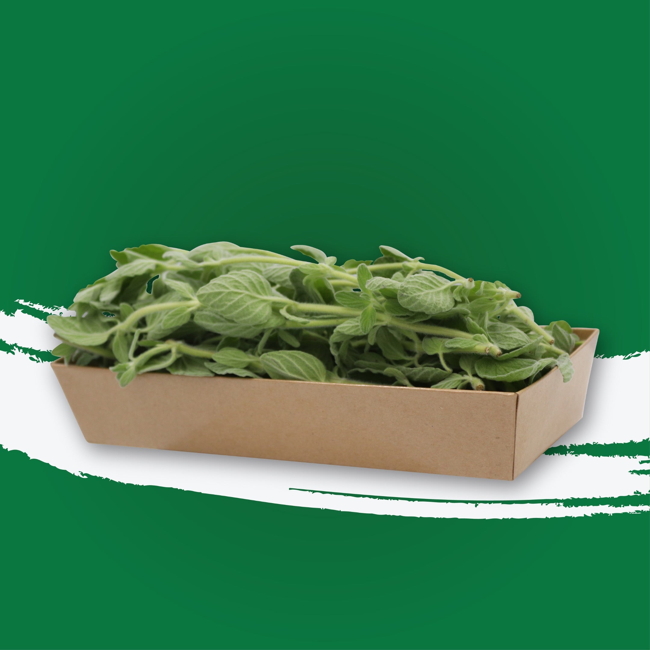 UNS Oregano 50g Kraft Box