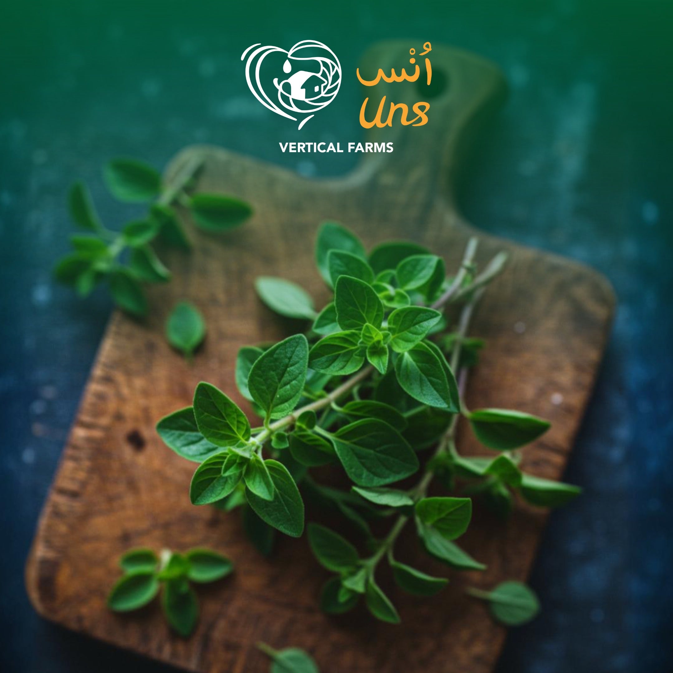 UNS Oregano 50g Kraft Box